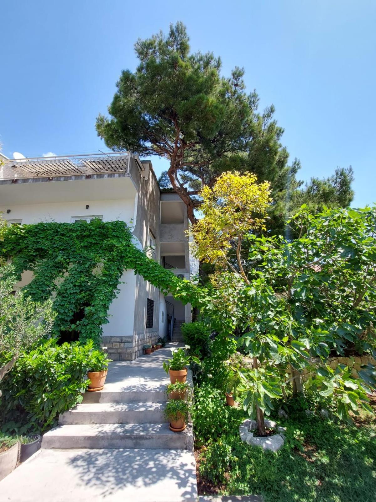 17 Pines Apartment Makarska Ngoại thất bức ảnh
